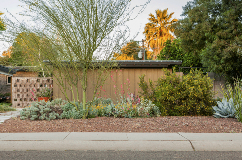 Xeriscape 101 Learn The Basics For A, How To Learn Landscaping