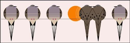 Living room and entertaining art work of birds on a telephone wire.