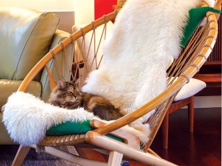 Cat lounging in a wicker-net chair with a faux fur throw.