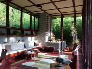 Image shows living room with floor to ceiling windows that display plants outside them and let in natural light.