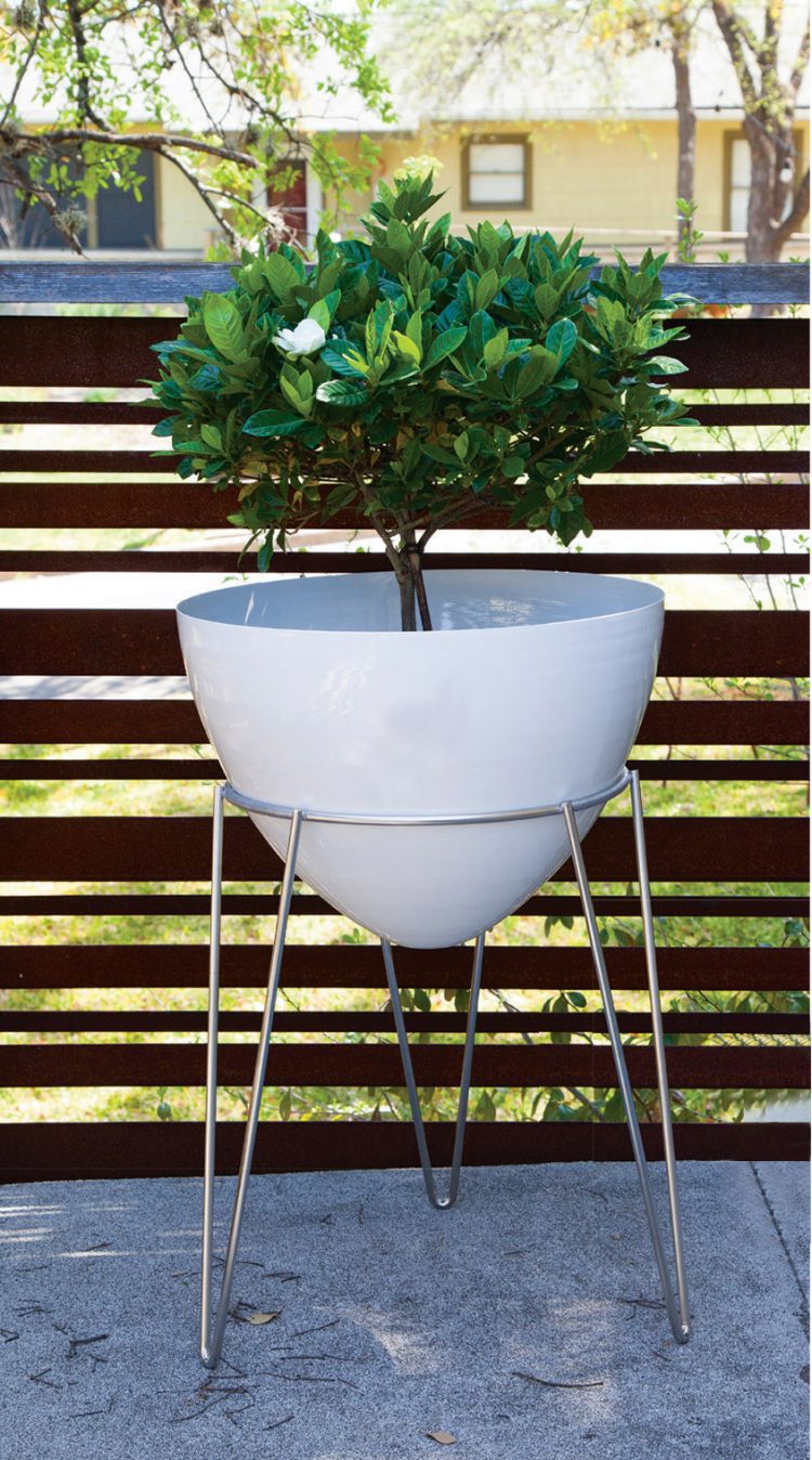 A white bullet planter with a small tree extending out of it.