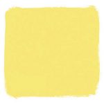 A shade of yellow paint found on many Palm Springs' doors.