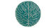 Turquoise plate with a Monsterra plant leaf design 