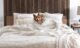 A Corgi dog is wrapped up in plush modern neutral bedding on a modern bed with a walnut colored headboard.