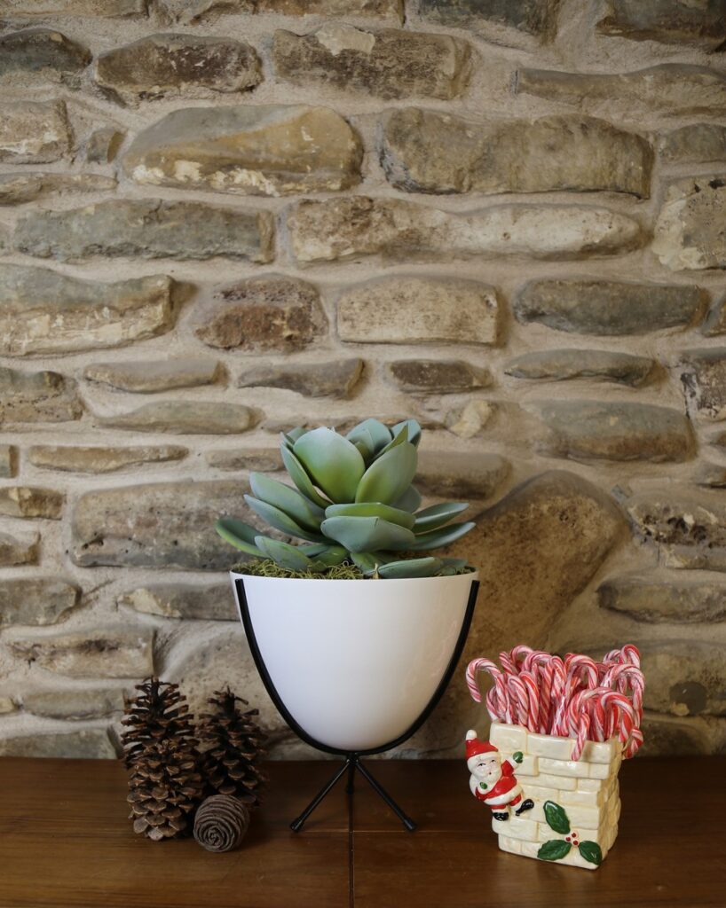 Hip Haven mini bullet planter