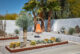 Palm Springs Philip and Rex modern garden/ backyard