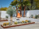 Palm Springs Philip and Rex modern garden/ backyard