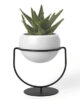 Single planter sitting in a black metal stand