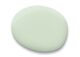Supreme Green Sherwin Williams paint color