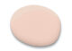 Blushing Sherwin Williams paint color