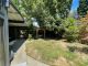 Overgrown Backyard Before Landscaping