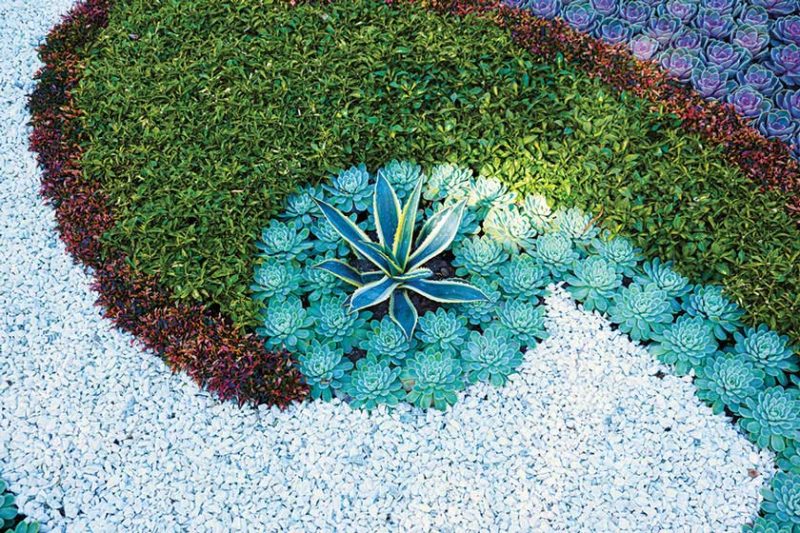 Plant Bed Ideas
