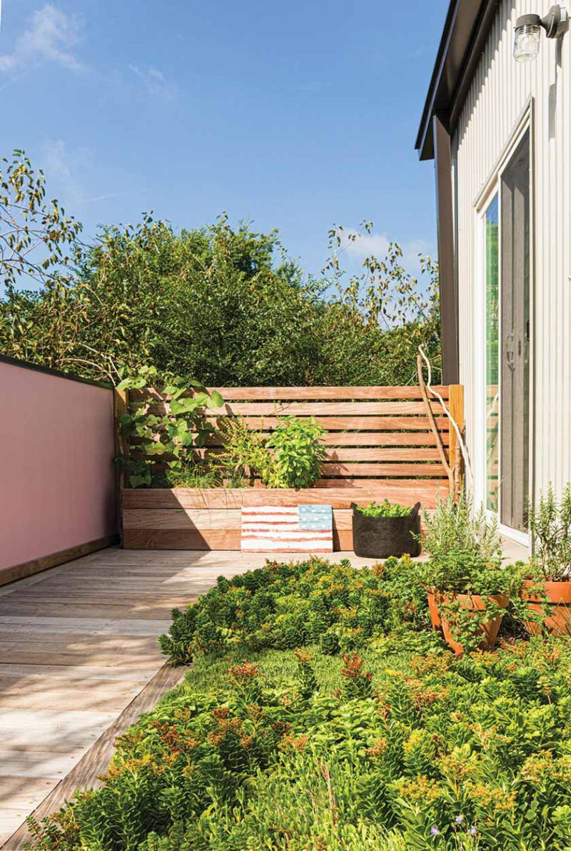 Modern Plant Bed Ideas - Atomic Ranch