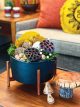 fall decor in tabletop bullet planter