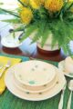 vintage fransiscan starburst dinnerware