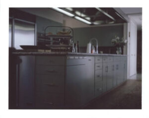 cabinetry in adrian pearsall's kitchen