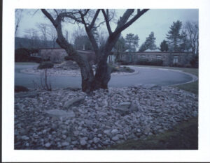 a pile of rocks and a tree next to the driveway of adrian pearsall's home