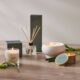 aloe scented candle and reed diffuser