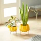 iron contemporary planter yellow