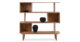 Dream 50” bookshelf