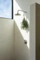 Minimalist plaster shower with a brushed nickel rain showerhead and trim valve, a fresh eucalyptus bundle hanging from the shower arm, dramatic diagonal sunlight through a black-framed window, and smooth white plaster walls